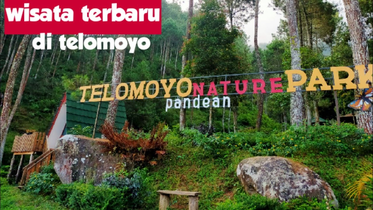 Jelajahi Keindahan Telomoyo Nature Park: Oase Alam di Kaki Gunung